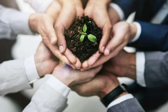 bunch of hands cupping dirt and a growing plant